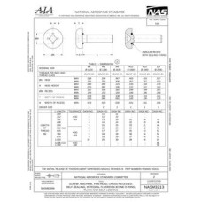 AIA NASM3213 AIA NASM3213