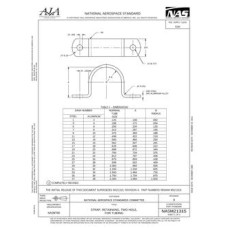 AIA NASM21315 AIA NASM21315
