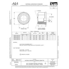 AIA NAS1287 AIA NAS1287