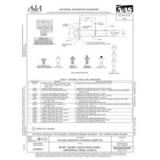 AIA NASM20604 AIA NASM20604