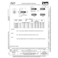 AIA NASM24628:2023