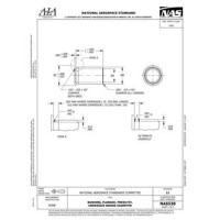 AIA NAS538