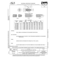 AIA NASM24629 AIA NASM24629