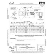 AIA NAS4466 AIA NAS4466