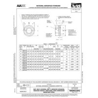 AIA NASM21042:2020 AIA NASM21042:2020