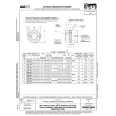 AIA NASM21042:2020 AIA NASM21042:2020