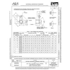 AIA NASM21081:2021
