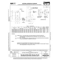 AIA NASM21053:2020 AIA NASM21053:2020