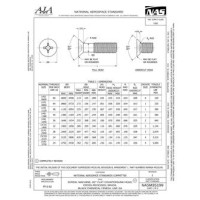 AIA NASM35199:2021 AIA NASM35199:2021