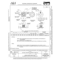 AIA NASM21383:2020 AIA NASM21383:2020