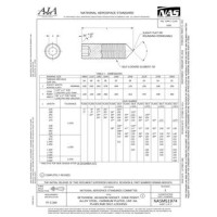 AIA NASM51974:2021