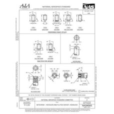 AIA NASM565 AIA NASM565