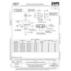 AIA NASM17731 AIA NASM17731