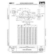 AIA NAS1787:2023