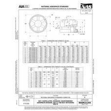 AIA NASM21244:2023