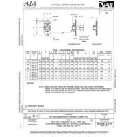 AIA NASM21075 AIA NASM21075