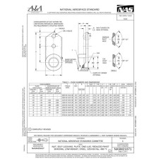 AIA NASM21071 AIA NASM21071