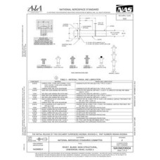 AIA NASM20604 AIA NASM20604