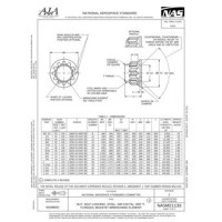 AIA NASM21133 AIA NASM21133