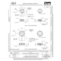 AIA NASM21386:2020 AIA NASM21386:2020
