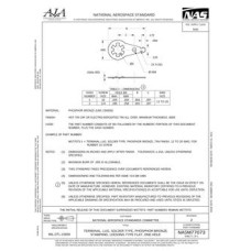 AIA NASM77073 AIA NASM77073