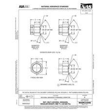 AIA NASM21046:2023