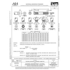 AIA NASM51021:2017