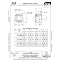AIA NASM21224 AIA NASM21224