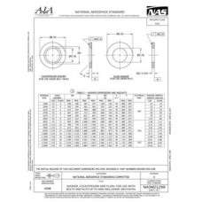 AIA NASM21299 AIA NASM21299