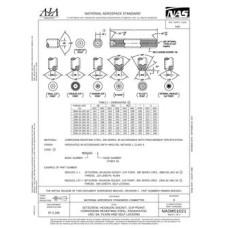 AIA NASM51021:2017 AIA NASM51021:2017