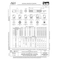 AIA NASM51021:2016 AIA NASM51021:2016