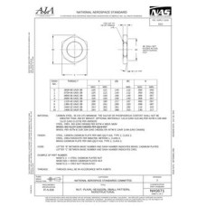 AIA NAS671 AIA NAS671