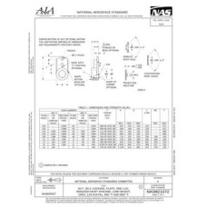 AIA NASM21072 AIA NASM21072