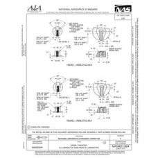 AIA NASM21384:2020