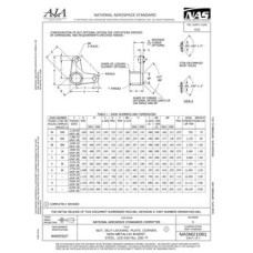 AIA NASM21081 AIA NASM21081