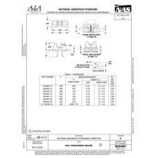 AIA NAS487