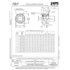 AIA NASM21224 AIA NASM21224