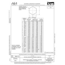AIA NASM21132 AIA NASM21132