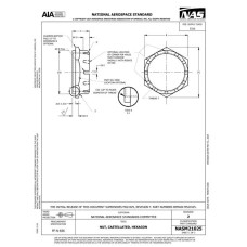 AIA NASM21025 AIA NASM21025