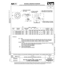 AIA NASM90415:2024 AIA NASM90415:2024