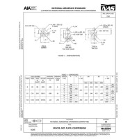AIA NAS500:2024 AIA NAS500:2024