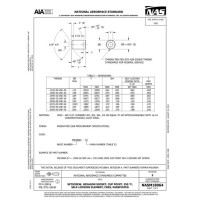 AIA NASM18064:2024 AIA NASM18064:2024