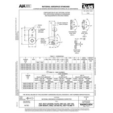 AIA NASM21054:2024 AIA NASM21054:2024