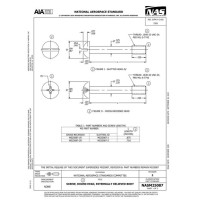 AIA NASM25087:2024