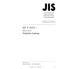 JIS T 8101:2020 JIS T 8101:2020