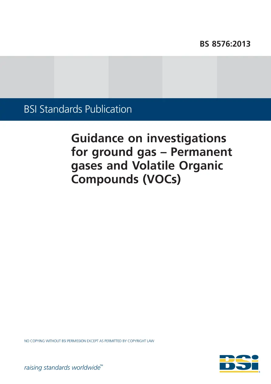 BS 8576:2013 BS 8576:2013