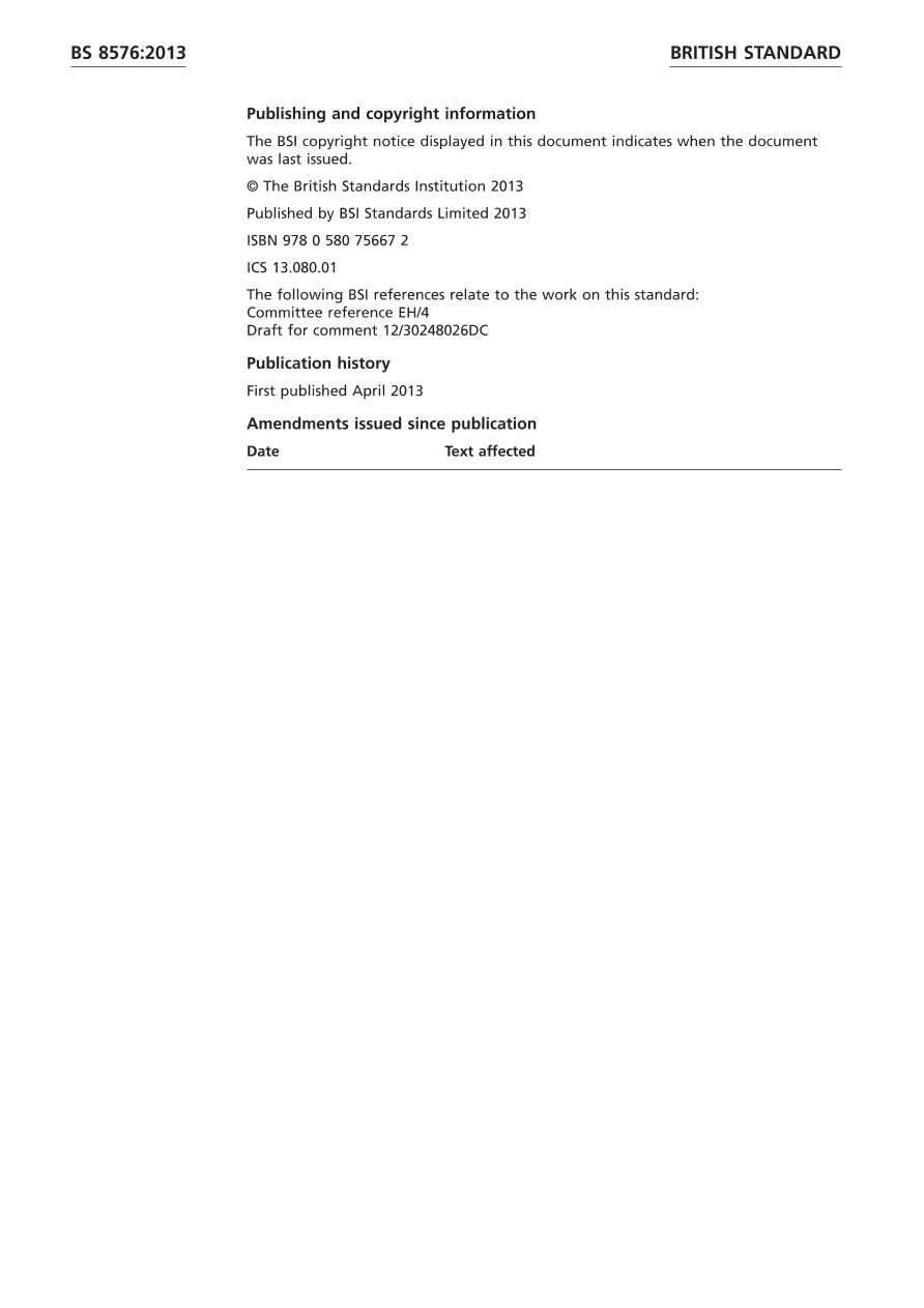 BS 8576:2013 BS 8576:2013