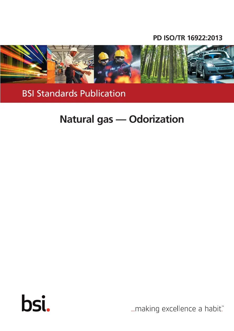 BS PD ISO/TR 16922:2013 BS PD ISO/TR 16922:2013