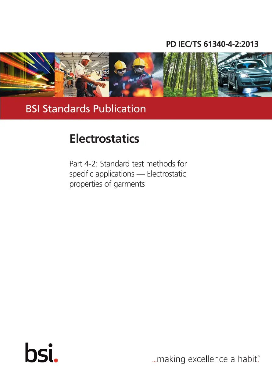BS PD IEC/TS 61340-4-2:2013 BS PD IEC/TS 61340-4-2:2013