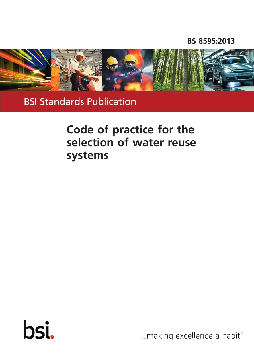 BS 8595:2013 BS 8595:2013